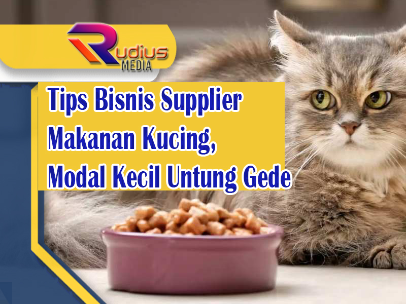 Tips Bisnis Supplier Makanan Kucing, Modal Kecil Untung Gede