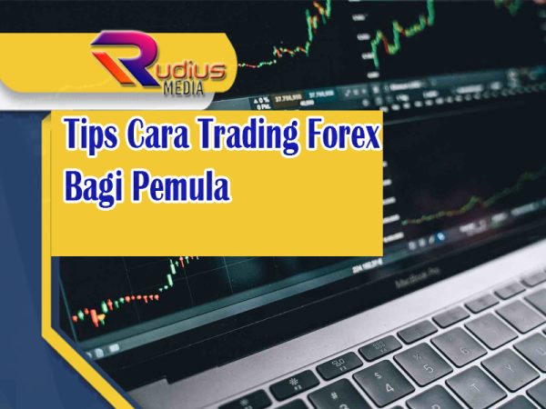 Tips Cara Trading Forex Bagi Pemula