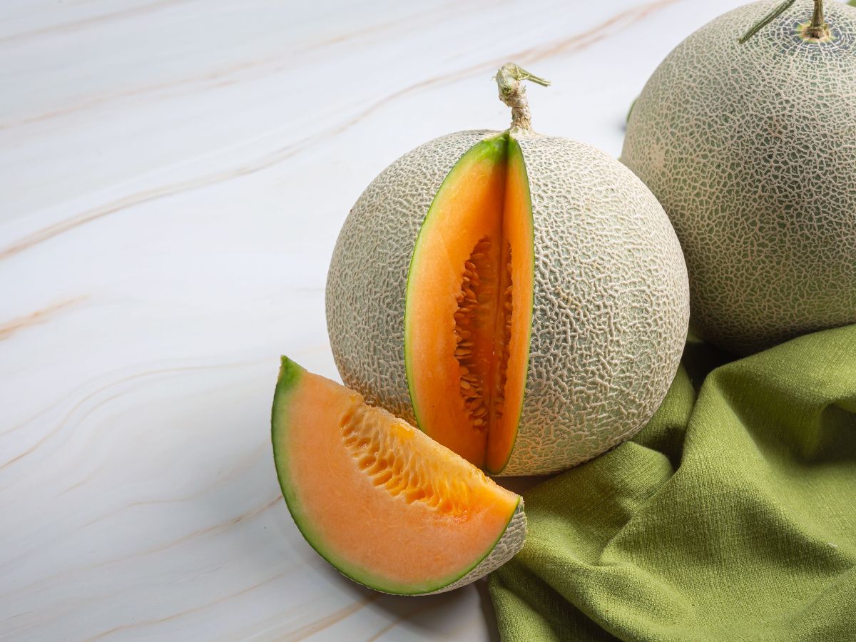 tips memilih melon