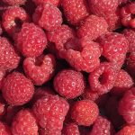 manfaat raspberry