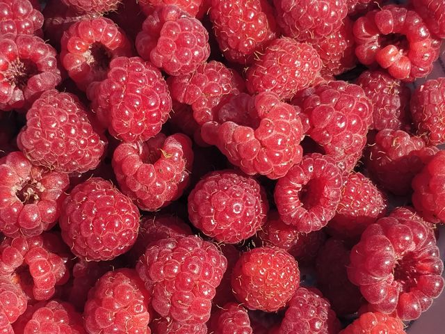 manfaat raspberry
