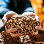 pabrik wood pellet terdekat