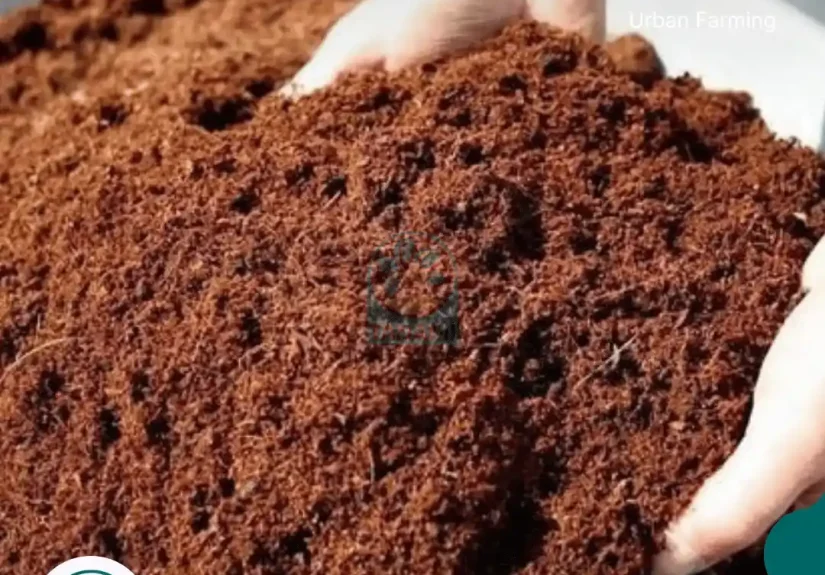 manfaat cocopeat block