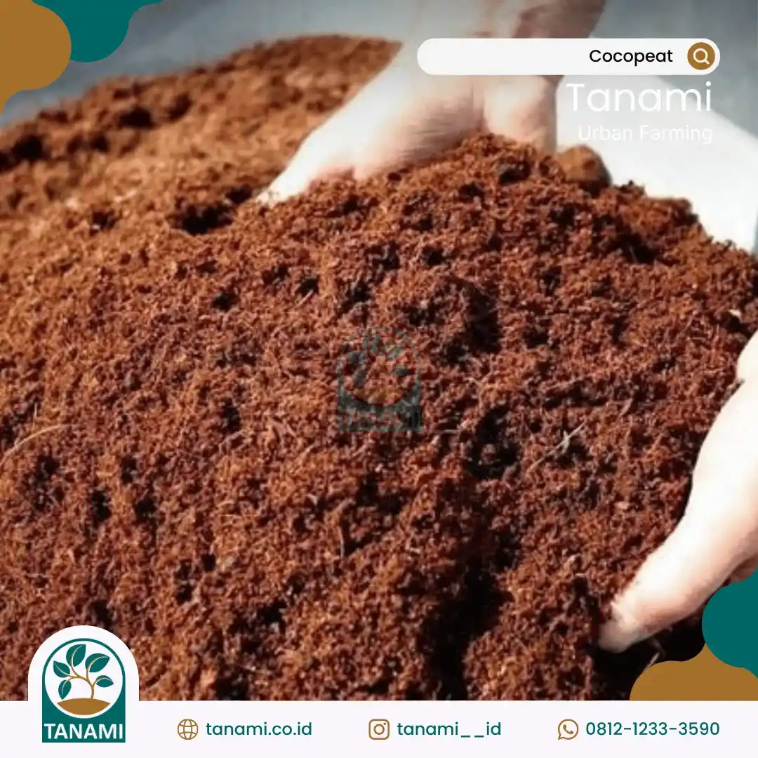 manfaat cocopeat block