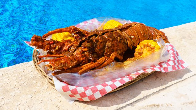tips memakan lobster
